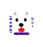 シンプルな白柴スタンプ（個別スタンプ：19）