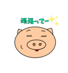 まったく ぶー太（個別スタンプ：40）