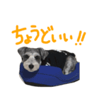 毎日ジミー（個別スタンプ：10）