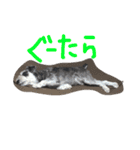 毎日ジミー（個別スタンプ：11）