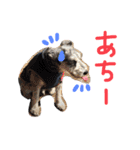 毎日ジミー（個別スタンプ：13）