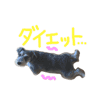 毎日ジミー（個別スタンプ：14）