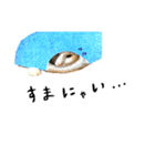 いけにゃんのんくん（個別スタンプ：9）