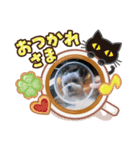 さんとおとう（個別スタンプ：2）