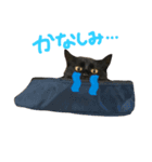ねこねこねっこさん（個別スタンプ：8）