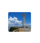 ☆MIYAKOJIMA☆（個別スタンプ：8）