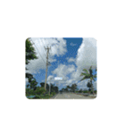 ☆MIYAKOJIMA☆（個別スタンプ：16）
