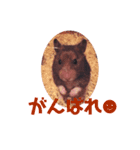 おもち君のスタンプ（個別スタンプ：7）