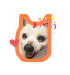 まめはちみるきーさくらもずくそら（個別スタンプ：3）