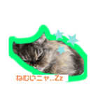 まめはちみるきーさくらもずくそら（個別スタンプ：4）