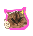 まめはちみるきーさくらもずくそら（個別スタンプ：5）