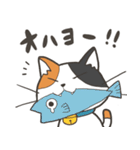 猫のおだいじにスタンプ（個別スタンプ：2）