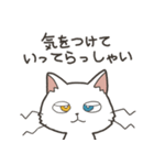 猫のおだいじにスタンプ（個別スタンプ：10）