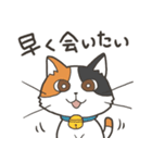猫のおだいじにスタンプ（個別スタンプ：12）