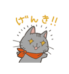猫のおだいじにスタンプ（個別スタンプ：13）