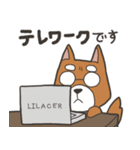 猫のおだいじにスタンプ（個別スタンプ：15）