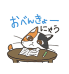 猫のおだいじにスタンプ（個別スタンプ：16）