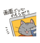 猫のおだいじにスタンプ（個別スタンプ：18）