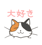 猫のおだいじにスタンプ（個別スタンプ：19）