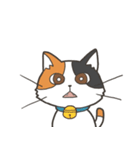 猫のおだいじにスタンプ（個別スタンプ：21）