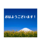 毎日富士山(富士山写真スタンプ)（個別スタンプ：1）