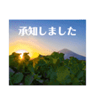毎日富士山(富士山写真スタンプ)（個別スタンプ：8）