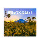 毎日富士山(富士山写真スタンプ)（個別スタンプ：22）