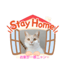 お家が一番 みるたんおもしろスタンプ（個別スタンプ：1）