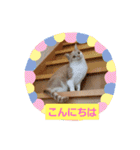 お家が一番 みるたんおもしろスタンプ（個別スタンプ：3）