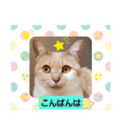 お家が一番 みるたんおもしろスタンプ（個別スタンプ：4）