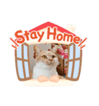 お家が一番 みるたんおもしろスタンプ（個別スタンプ：5）
