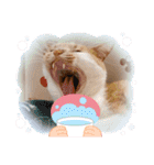 お家が一番 みるたんおもしろスタンプ（個別スタンプ：7）