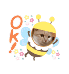 お家が一番 みるたんおもしろスタンプ（個別スタンプ：14）