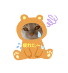お家が一番 みるたんおもしろスタンプ（個別スタンプ：21）