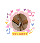 お家が一番 みるたんおもしろスタンプ（個別スタンプ：24）