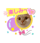 お家が一番 みるたんおもしろスタンプ（個別スタンプ：26）