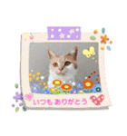 お家が一番 みるたんおもしろスタンプ（個別スタンプ：36）