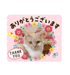 お家が一番 みるたんおもしろスタンプ（個別スタンプ：38）