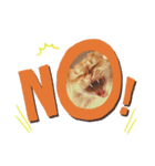 ねこw（個別スタンプ：3）