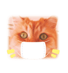ねこw（個別スタンプ：5）