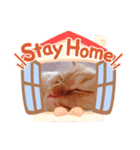 ねこw（個別スタンプ：6）