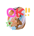 MCMSO（個別スタンプ：7）