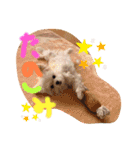 MCMSO（個別スタンプ：10）