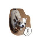 MCMSO（個別スタンプ：11）