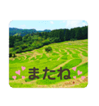 レリアの写真であいさつ5（個別スタンプ：6）