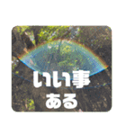 レリアの写真であいさつ5（個別スタンプ：8）