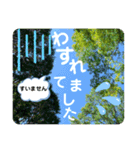 レリアの写真であいさつ5（個別スタンプ：13）
