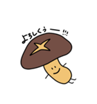 椎茸家のたけしくん(5)（個別スタンプ：1）