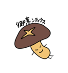 椎茸家のたけしくん(5)（個別スタンプ：14）