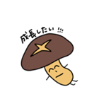 椎茸家のたけしくん(5)（個別スタンプ：24）